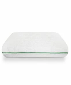 Budget 😀 BioPedic Fresh and Clean Classic Comfort Memory Foam Pillow 🎉