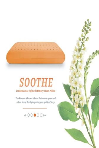 Best deal 🎁 SensorPedic Soothe Frankincense Infused Memory Foam Pillow ⭐ - Image 5