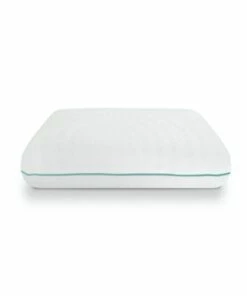 Cheap ⌛ SensorPedic Fresh Eucalyptus Infused Memory Foam Pillow 🔔