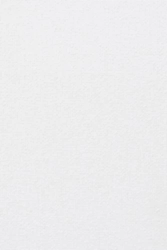 Top 10 ๐ The Pillow Bar Dr Mary Side Sleeper Pillow with Pillowcase ๐ฏ - Image 4