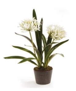 Outlet 👍 Napa Home and Garden 23 inch Artificial Agapanthus Drop In Plant 👍