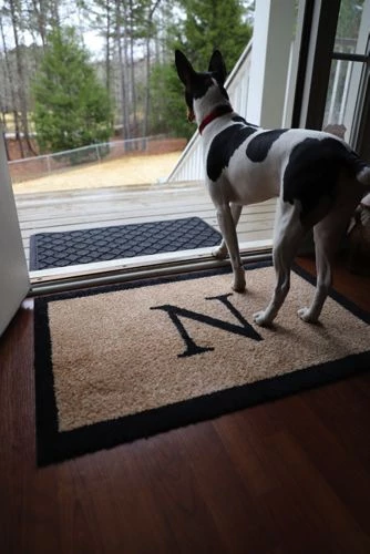 Top 10 🥰 Bungalow Flooring Monogrammed Border Doormat Basic 🔥 - Image 4