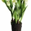 Brand new 🌟 Napa Home and Garden 22 inch Artificial Tulip Drop In Plant 🎉