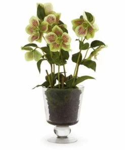 New ✔️ Napa Home and Garden 16 inch Artificial Hellebores Arrangement In Urn White 🛒