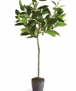 Cheapest ๐งจ Napa Home and Garden 28.5 inch Artificial Bayleaf Tree Drop In Plant ๐
