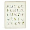 Deals 👍 Antique Curiosities Floral Alphabet Small Framed Wall Art Multi 👏
