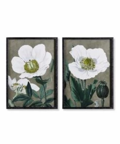 Promo 🌟 Napa Home and Garden Poppy Prints Set Of 2 ⭐