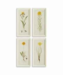 Brand new 🛒 Napa Home and Garden Yellow Flower Prints Set Of 4 ⌛