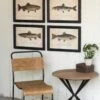 Top 10 😍 Kalalou Trout Print Wall Art 🎉