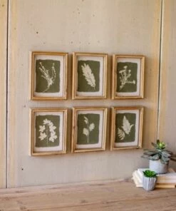 Deals 💯 Kalalou Fern Print Wall Art 💯