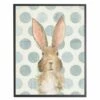 Brand new 👍 Antique Curiosities Bunny with Polka Dots Small Framed Wall Art Pink 👍