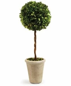 Brand new 👏 Napa Home and Garden 23.25 inch Artificial Boxwood Single Sphere Potted Topiary ✔️