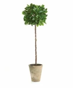 Coupon ✔️ Napa Home and Garden 27 inch Artificial Ficus Topiary Potted Plant 🔔