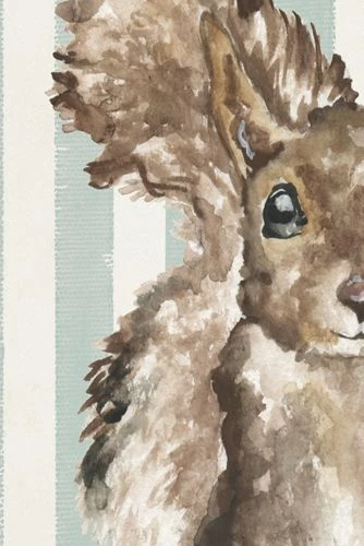 Outlet 💯 Antique Curiosities Baby Squirrel with Stripes Small Framed Wall Art Gray 🔥 - Image 2