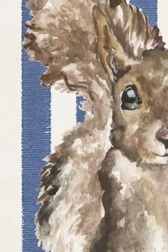 Outlet 💯 Antique Curiosities Baby Squirrel with Stripes Small Framed Wall Art Gray 🔥 - Image 3