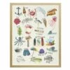 New 🛒 Antique Curiosities Nautical Alphabet Small Framed Wall Art Multi 🛒