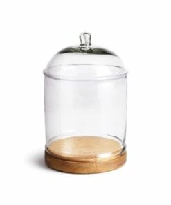 Buy 🛒 Napa Home and Garden Adrien Glass Cloche With Wood Base 😍