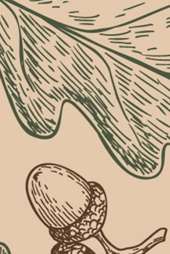 Flash Sale 🌟 A and A Story Leaves and Acorns Fall Placemat Set of 4 ⭐ - Image 3