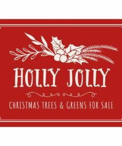 Wholesale 🎉 A and A Story Holly Jolly 🎄 Christmas Placemats Set of 4 👏