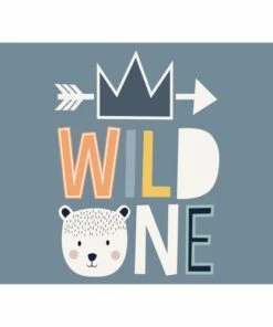 Coupon โจ A and A Story Kids Wild One Waterproof Stain Resistant Vinyl Placemats Set of 2 โจ